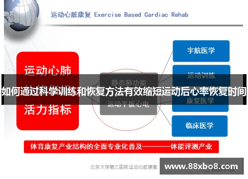 如何通过科学训练和恢复方法有效缩短运动后心率恢复时间